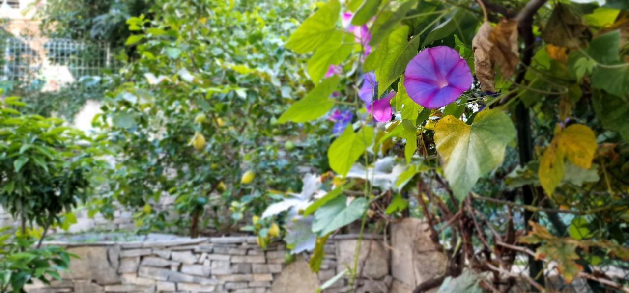 Studio Au Bas Des Cretes En Bas De Villa A La Ciotat Proche De La Mer Et De Marseille Exterior foto